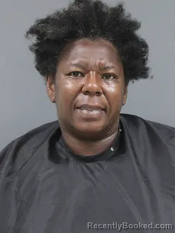 Mugshot of Kellie Littlejohn booked in Cherokee County, South Carolina on August 13, 2026