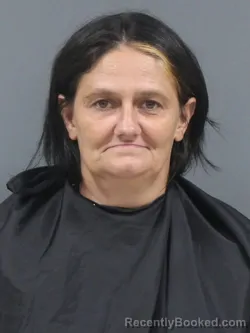 Mugshot of Christy Hill booked in Cherokee County, South Carolina on September 14, 2026