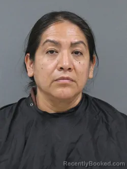 Mugshot of Ma Del Consuelo Medina Banda booked in Cherokee County, South Carolina on October 8, 2026