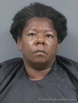 Mugshot of Kellie Littlejohn booked in Cherokee County, South Carolina on October 26, 2026