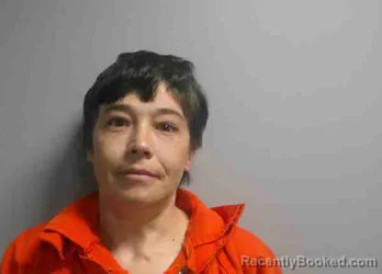 Mugshot of ANGEL LEANN BRISTER