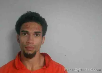 Mugshot of PHILLIP LEE WILLIAMS