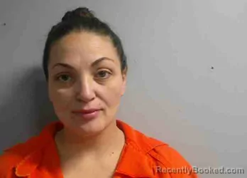 Mugshot of BRITTANY ANN VERNELL JENKINS