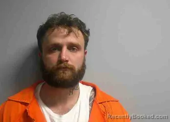 Mugshot of BRANDON RAY SPRINGER