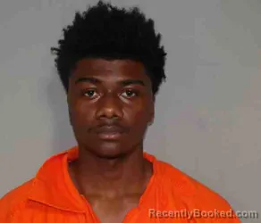 Mugshot of SHAMARI BRYAN HAROLD booked in Beauregard County, Louisiana on July 25, 2026