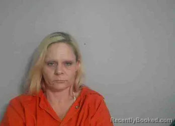 Mugshot of CECILLIA L BRISTER