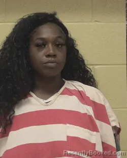 Mugshot of ANDRENIA ADAMS