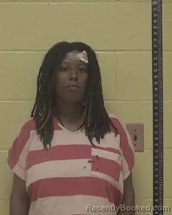 Mugshot of Aniyah Adkins booked in Bossier County, Louisiana on August 16, 2026