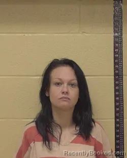 Mugshot of AMBER NICOLE BOYKIN