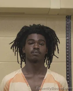 Booking photo from Bossier Parrish, Louisiana