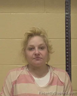 Mugshot of ASHLEY NICOLE DYNER