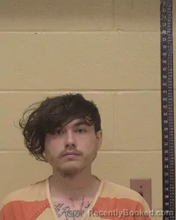 Mugshot of AUSTIN LEE FORTENBERRY booked in Bossier County, Louisiana on March 11, 2026