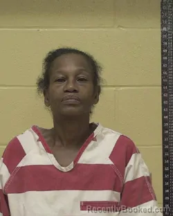 Mugshot of ANITA LOUISE FEASTER booked in Bossier County, Louisiana on April 8, 2026