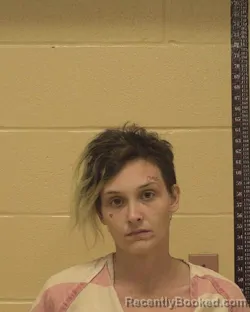 Mugshot of ANNA NICOLE HARLEY booked in Bossier County, Louisiana on April 17, 2026