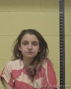 Mugshot of AERIEL ANN NARON