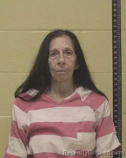 Mugshot of CHERYL M HUDEC booked in Bossier County, Louisiana on June 17, 2026