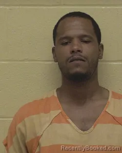 Mugshot of CAMUS MICHOLE JOHNSON