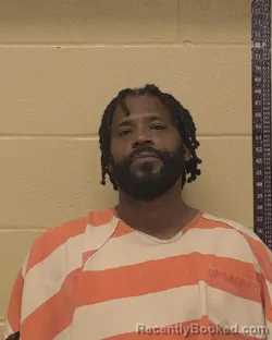 Mugshot of DAVID MORGAN