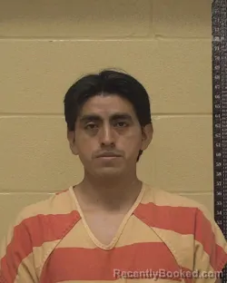 Mugshot of ELVIS ESTUARDO MORALES-ALVARADO