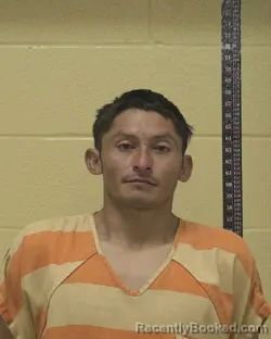 Mugshot of FRANCISCO JAVIER REYES