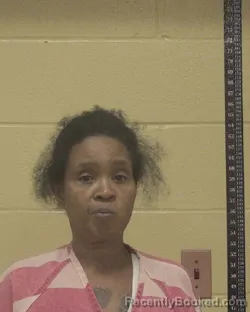 Mugshot of GOLDNESA GABRIELLA CASTANO-MITCHELL booked in Bossier County, Louisiana on June 19, 2026