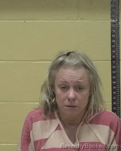 Booking photo from Bossier Parrish, Louisiana