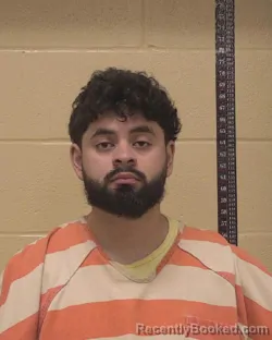 Mugshot of JUAN CARLOS FLORES-ESCOBAR