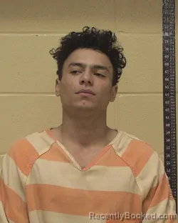 Mugshot of JESUS GALLEGO