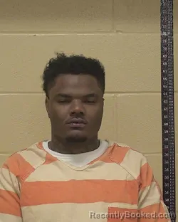 Mugshot of JAVON DEANDRA HOGAN