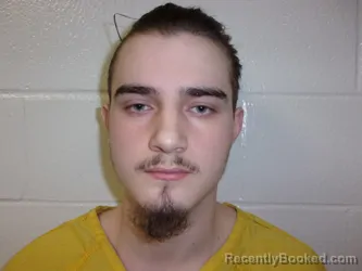 Mugshot of JAMES DRAKE NAPIER