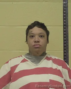 Mugshot of KAIDEDRA LASHA ASHTON