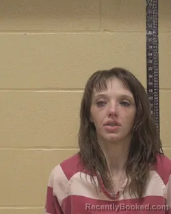 Mugshot of KAYLA NICOLE AYERS