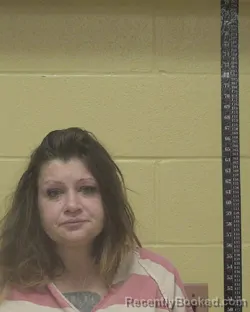 Mugshot of Krystal Amber Gaudet booked in Bossier County, Louisiana on August 13, 2026