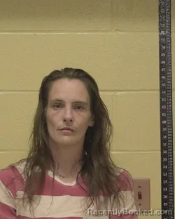 Mugshot of KRISTINA ANN LINDSAY booked in Bossier County, Louisiana on March 25, 2026