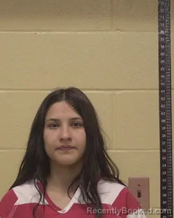 Mugshot of KARIOLYS MIRENA LONDON-DUNO booked in Bossier County, Louisiana on March 13, 2026