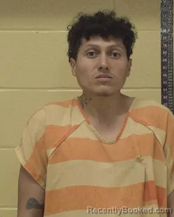 Mugshot of LUIS ANGEL-GONZALES