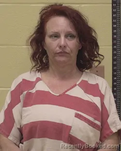 Mugshot of LEIGH RENE ANDERTON booked in Bossier County, Louisiana on May 17, 2026