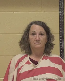 Mugshot of LISA LEE DELANEY