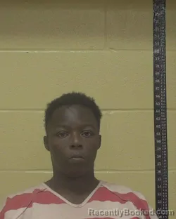 Mugshot of Lakisha Danyale Johnson booked in Bossier County, Louisiana on August 7, 2026