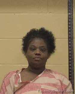 Mugshot of LINDSEY ERIN JAMES booked in Bossier County, Louisiana on May 20, 2026