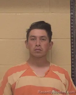 Booking photo from Bossier Parrish, Louisiana