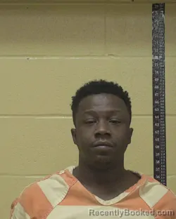 Mugshot of LEECEDRICK JAMOND VARNER