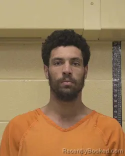 Mugshot of LYNNDALE J WHITE