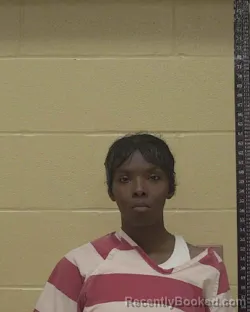 Mugshot of MELVINESHA MONEY JOHNSON