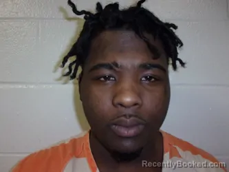 Mugshot of MICHAEL DAVIS KINGSTON