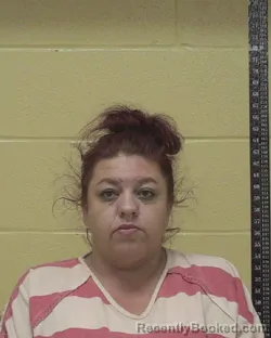 Mugshot of MELISA ANNETTE LOTT