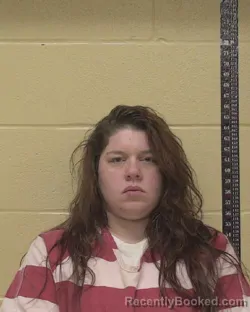 Mugshot of MORGAN CHEYENNE MCKINNEY