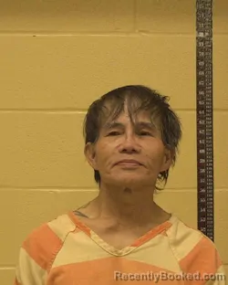 Mugshot of MINH V NGUYEN