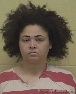 Mugshot of MELISSA ANN PHIFER