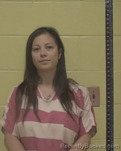 Mugshot of Micah Alina Young booked in Bossier County, Louisiana on August 15, 2026